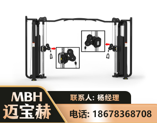 邵阳大飞鸟训练器