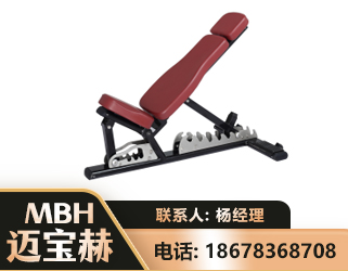 邵阳可调哑铃椅