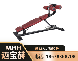 邵阳可调腹肌板